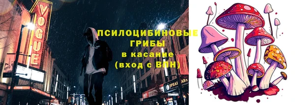 ГАЛЛЮЦИНОГЕННЫЕ ГРИБЫ Лихославль