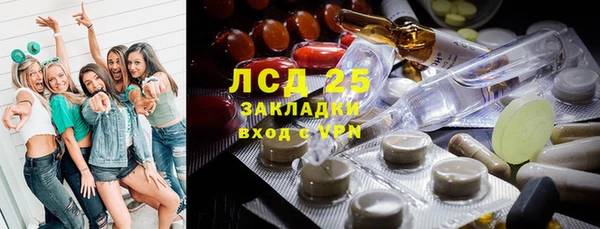 PSILOCYBIN Дубна