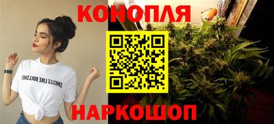 индика Кунгур
