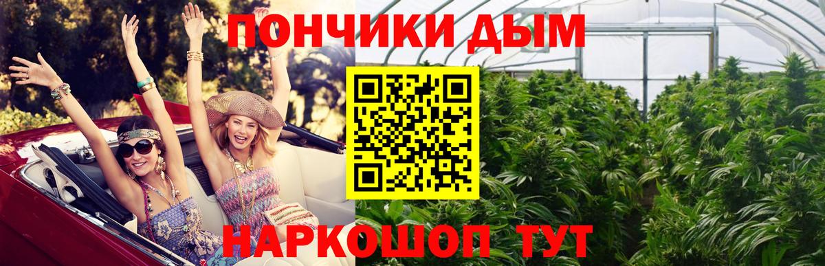 Каннабис план Лысьва